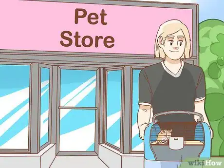 Image intitulée Care for Syrian Hamsters Step 8