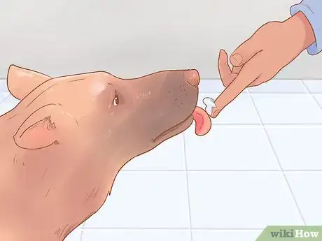 Image intitulée Keep Your Dog's Breath Fresh Step 2
