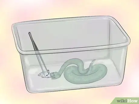 Image intitulée Feed a Snake Frozen Food Step 5