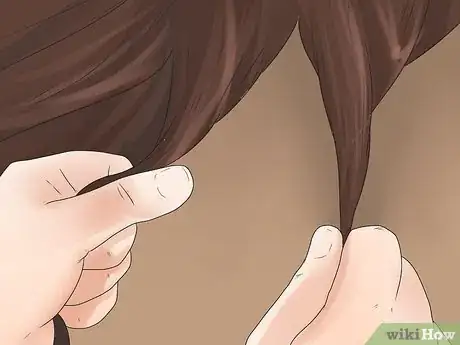 Image intitulée Braid a Horse's Mane Step 34