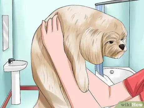 Image intitulée Bathe a Shih Tzu Puppy Step 5