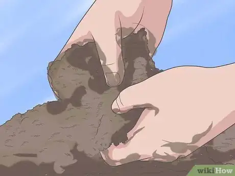Image intitulée Grow Crepe Myrtle Step 4