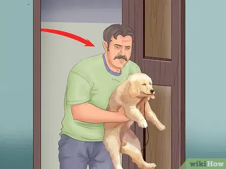 Image intitulée Potty Train a Puppy in an Apartment Step 1