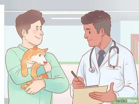 Image intitulée Keep Your Dog's Breath Fresh Step 9