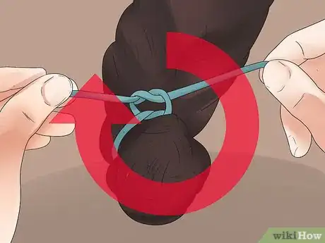 Image intitulée Braid a Horse's Mane Step 18