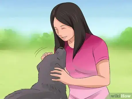Image intitulée Approach a Shy or Fearful Dog Step 9