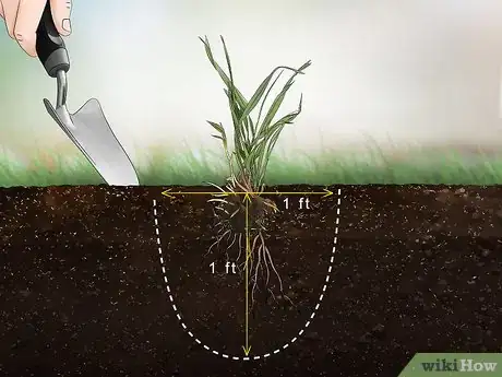 Image intitulée Get Rid of Quack Grass Step 6