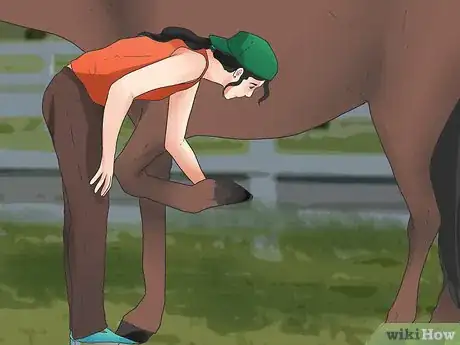Image intitulée Be Safe Around Horses Step 18