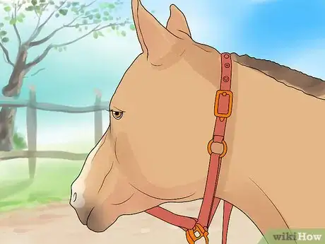 Image intitulée Bridle a Horse Step 2