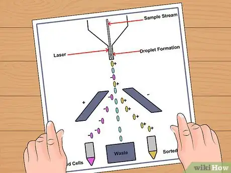 Image intitulée Have a Girl Step 10