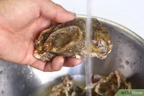 Image intitulée Store Fresh Oysters Step 7