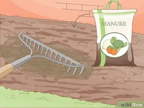Image intitulée Grow Lantana Plants Step 8