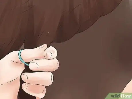 Image intitulée Braid a Horse's Mane Step 37