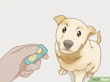 Image intitulée Stop a Puppy from Barking Step 16