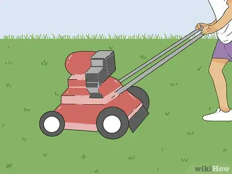Image intitulée Bring Back Dead Grass Step 6