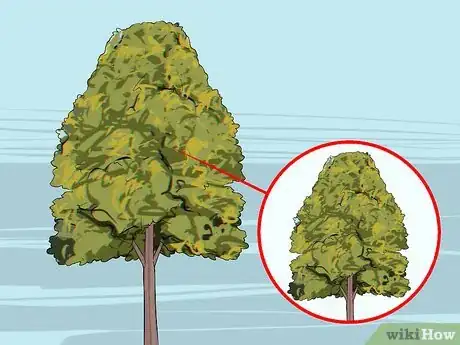 Image intitulée Trim Oak Trees Step 4