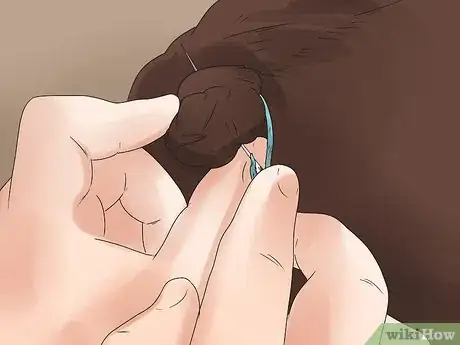 Image intitulée Braid a Horse's Mane Step 32