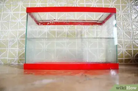 Image intitulée Make a Goldfish Live for Decades Step 1