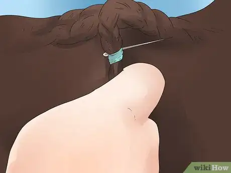 Image intitulée Braid a Horse's Mane Step 27