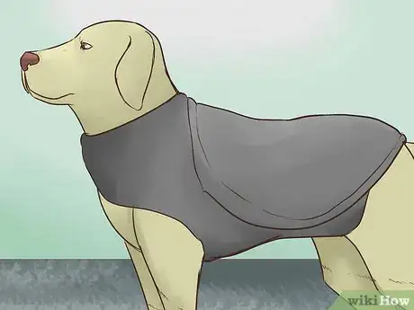 Image intitulée Keep a Dog Calm During Fireworks Step 5