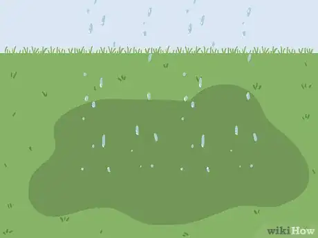 Image intitulée Bring Back Dead Grass Step 16