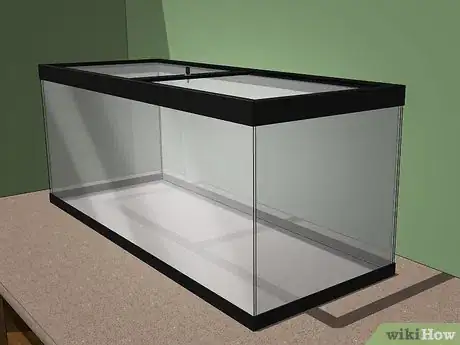 Image intitulée Care for Giant African Land Snails Step 1