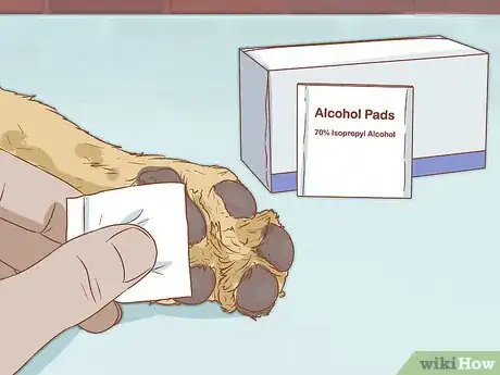 Image intitulée Treat Heat Stroke in Dogs Step 9