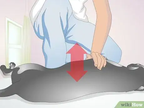 Image intitulée Perform CPR on a Dog Step 2