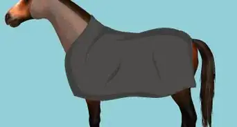 tondre votre cheval