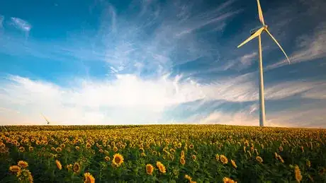 Image intitulée Eolienne domestique