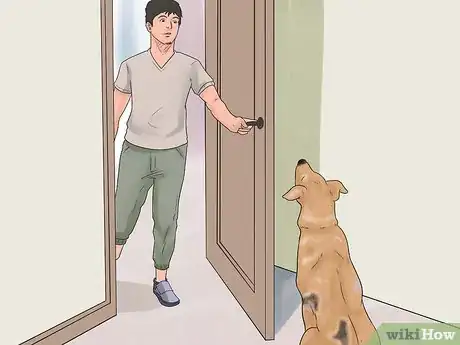 Image intitulée Cure Mange in Dogs Step 5