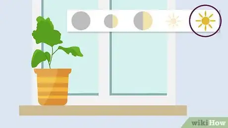 Image intitulée Plant Mums Step 14