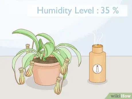 Image intitulée Grow Pitcher Plants Step 7