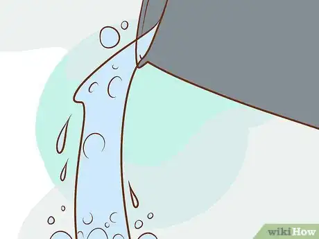 Image intitulée Get Rid of Poison Ivy Step 9