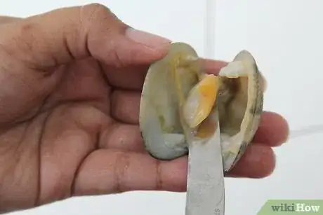 Image intitulée Cook Clams Step 14Bullet3