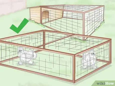 Image intitulée Care For Silkie Chickens Step 3