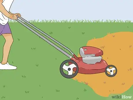 Image intitulée Bring Back Dead Grass Step 13