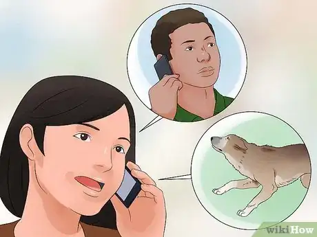 Image intitulée Approach a Shy or Fearful Dog Step 12