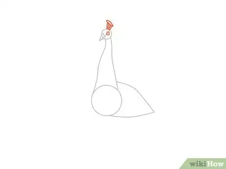 Image intitulée Draw an Exotic Peacock Step 4