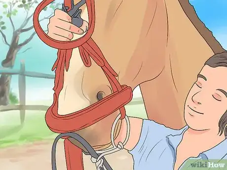 Image intitulée Bridle a Horse Step 5