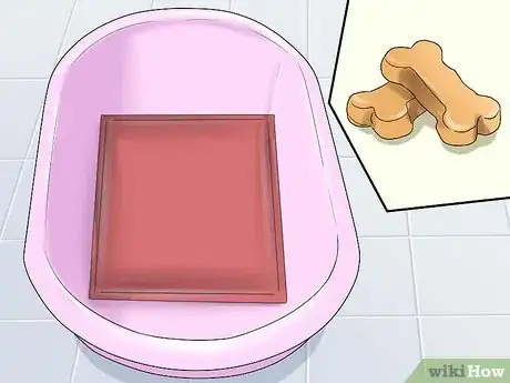 Image intitulée Bathe a Shih Tzu Puppy Step 4