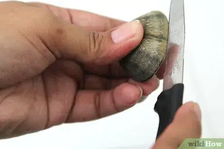 Image intitulée Cook Clams Step 14Bullet2