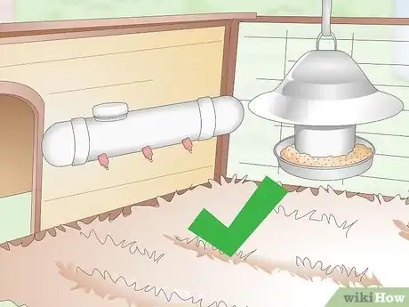Image intitulée Care For Silkie Chickens Step 8