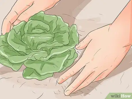 Image intitulée Be Greener Step 16