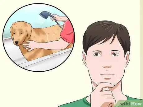 Image intitulée Bathe a Dog and Keep It Calm Step 5