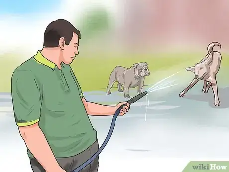 Image intitulée Break Up a Dog Fight Step 3