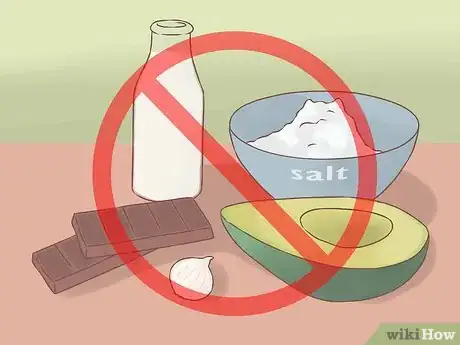 Image intitulée Care for Your Chihuahua Puppy Step 4