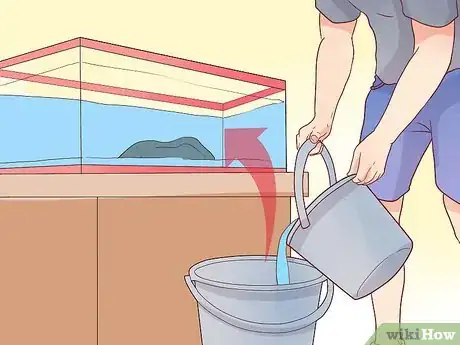 Image intitulée Make Your Fish Live Longer Step 17