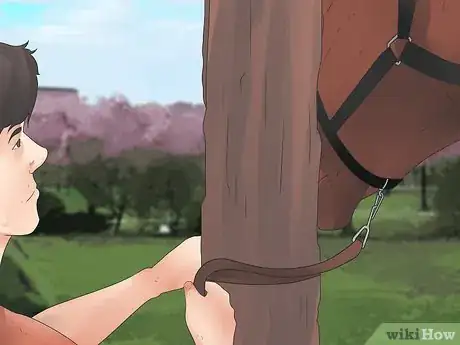 Image intitulée Be Safe Around Horses Step 13