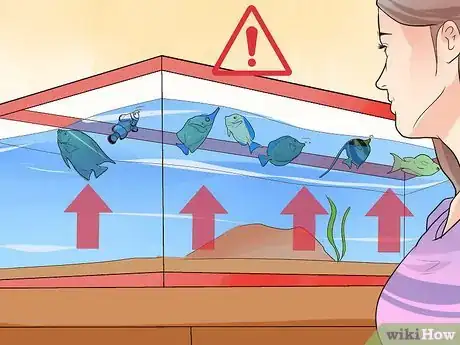 Image intitulée Make Your Fish Live Longer Step 18
